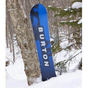 Burton Ripcord
