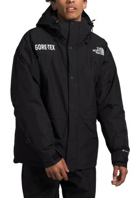 The North Face GTX Mountain Guide Insulated Jacket