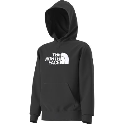 The North Face Youth Evolution Half Dome Hood