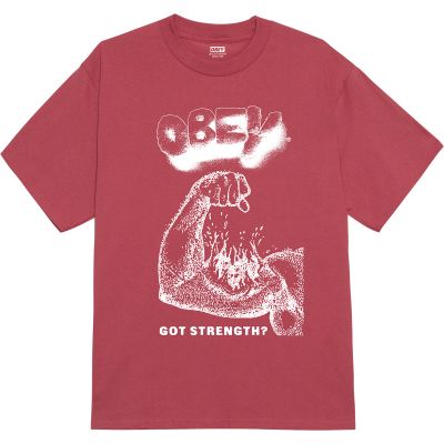 Obey Got Strength Tee