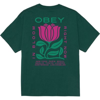 Obey In Bloom Tee