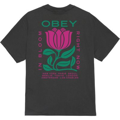 Obey In Bloom Tee