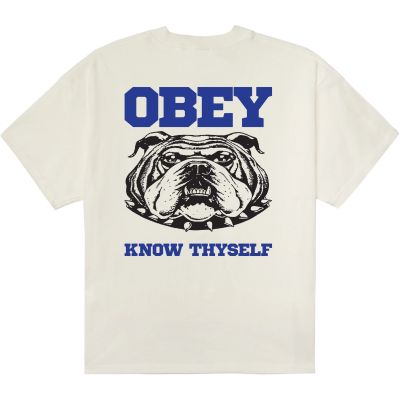 Obey Know Thyself Hw Box Tee 