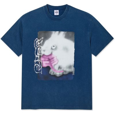 Polar Tee Rabbit 