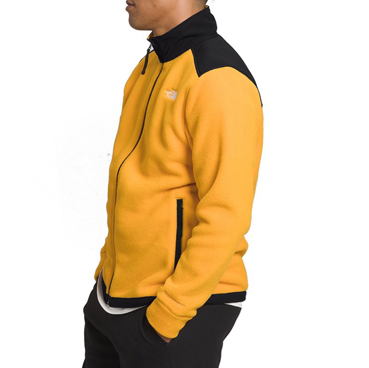 The North Face Alpine Polartec 200 FZ Jacket