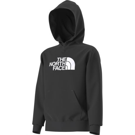 The North Face Youth Evolution Half Dome Hood