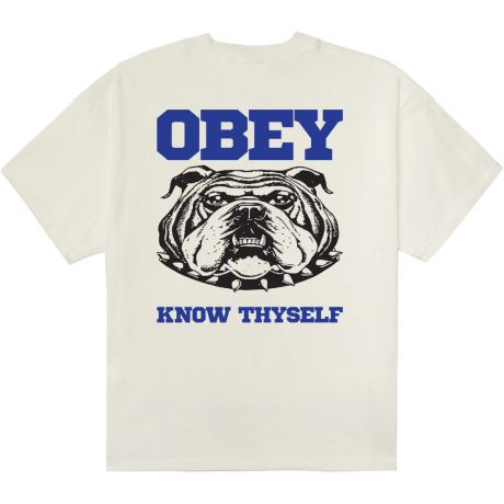 Obey Know Thyself Hw Box Tee 